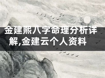 金建熙八字命理分析详解,金建云个人资料