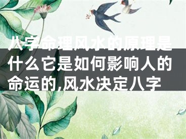 八字命理风水的原理是什么它是如何影响人的命运的,风水决定八字
