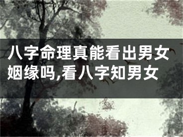 八字命理真能看出男女姻缘吗,看八字知男女