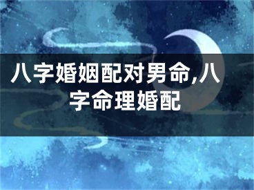 八字婚姻配对男命,八字命理婚配