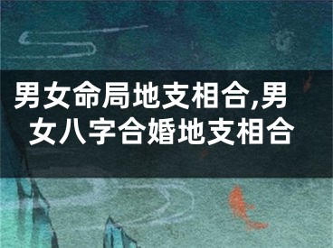 男女命局地支相合,男女八字合婚地支相合