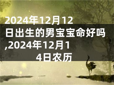 2024年12月12日出生的男宝宝命好吗,2024年12月14日农历