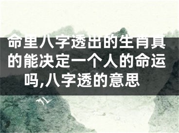 命里八字透出的生肖真的能决定一个人的命运吗,八字透的意思