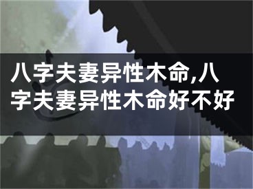 八字夫妻异性木命,八字夫妻异性木命好不好