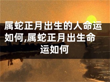 属蛇正月出生的人命运如何,属蛇正月出生命运如何