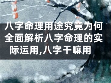 八字命理用途究竟为何全面解析八字命理的实际运用,八字干嘛用