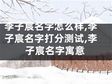 李子宸名字怎么样,李子宸名字打分测试,李子宸名字寓意