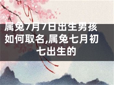 属兔7月7日出生男孩如何取名,属兔七月初七出生的