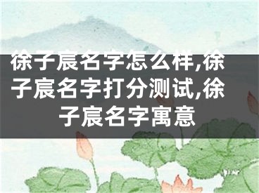 徐子宸名字怎么样,徐子宸名字打分测试,徐子宸名字寓意