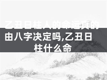 乙丑日柱人的命运真的由八字决定吗,乙丑日柱什么命