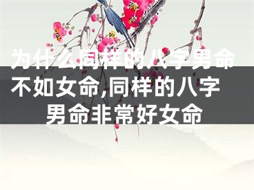 为什么同样的八字男命不如女命,同样的八字男命非常好女命