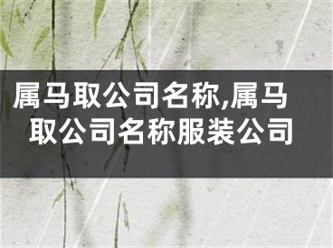 属马取公司名称,属马取公司名称服装公司