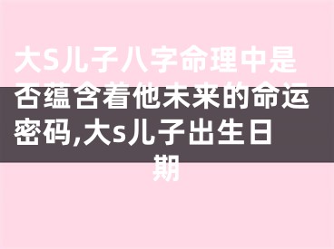 大S儿子八字命理中是否蕴含着他未来的命运密码,大s儿子出生日期