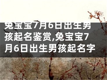 兔宝宝7月6日出生男孩起名鉴赏,兔宝宝7月6日出生男孩起名字