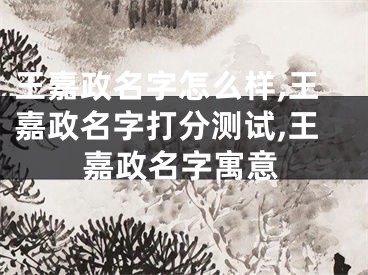 王嘉政名字怎么样,王嘉政名字打分测试,王嘉政名字寓意