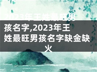 2023年王姓最旺男孩名字,2023年王姓最旺男孩名字缺金缺火
