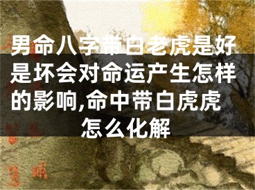 男命八字带白老虎是好是坏会对命运产生怎样的影响,命中带白虎虎怎么化解