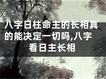八字日柱命主的长相真的能决定一切吗,八字看日主长相