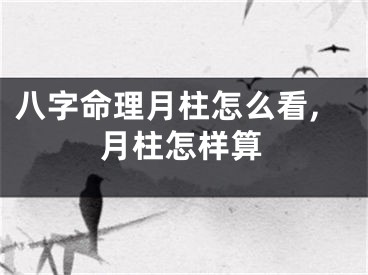 八字命理月柱怎么看,月柱怎样算