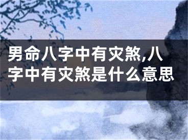 男命八字中有灾煞,八字中有灾煞是什么意思