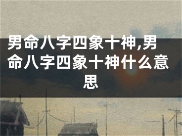 男命八字四象十神,男命八字四象十神什么意思