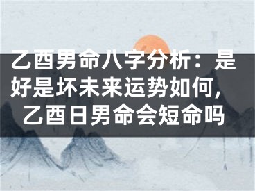 乙酉男命八字分析：是好是坏未来运势如何,乙酉日男命会短命吗