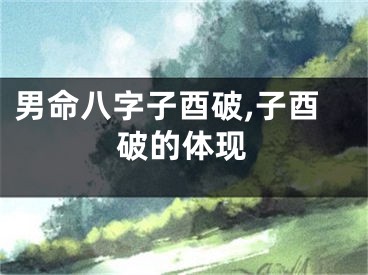 男命八字子酉破,子酉破的体现