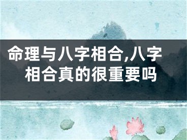 命理与八字相合,八字相合真的很重要吗