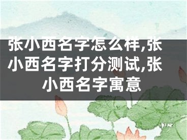 张小西名字怎么样,张小西名字打分测试,张小西名字寓意