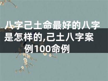 八字己土命最好的八字是怎样的,己土八字案例100命例