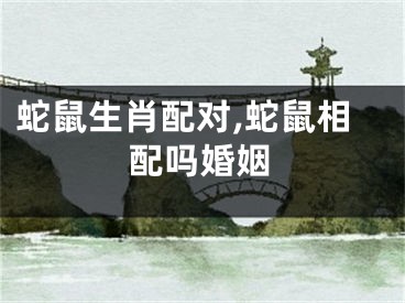 蛇鼠生肖配对,蛇鼠相配吗婚姻