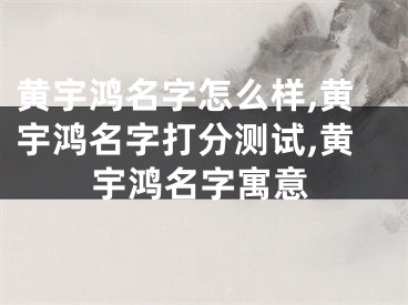黄宇鸿名字怎么样,黄宇鸿名字打分测试,黄宇鸿名字寓意