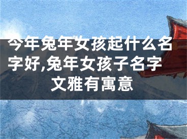 今年兔年女孩起什么名字好,兔年女孩子名字文雅有寓意