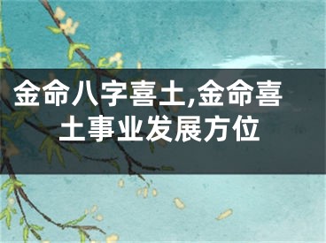 金命八字喜土,金命喜土事业发展方位