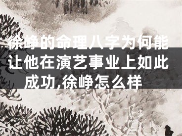 徐峥的命理八字为何能让他在演艺事业上如此成功,徐峥怎么样