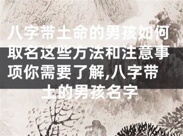 八字带土命的男孩如何取名这些方法和注意事项你需要了解,八字带土的男孩名字