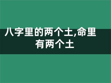 八字里的两个土,命里有两个土