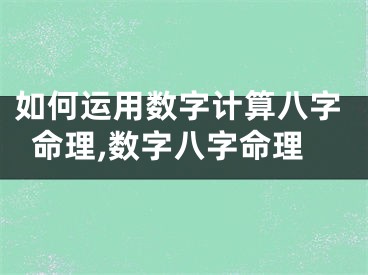 如何运用数字计算八字命理,数字八字命理