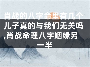 肖战的八字命里有几个儿子真的与我们无关吗,肖战命理八字姻缘另一半