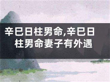 辛巳日柱男命,辛巳日柱男命妻子有外遇