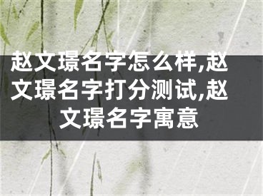 赵文璟名字怎么样,赵文璟名字打分测试,赵文璟名字寓意