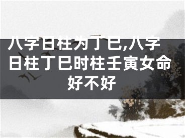 八字日柱为丁巳,八字日柱丁巳时柱壬寅女命好不好