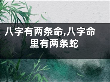 八字有两条命,八字命里有两条蛇