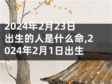 2024年2月23日出生的人是什么命,2024年2月1日出生