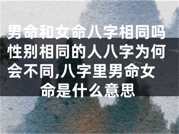 男命和女命八字相同吗性别相同的人八字为何会不同,八字里男命女命是什么意思