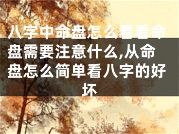 八字中命盘怎么看看命盘需要注意什么,从命盘怎么简单看八字的好坏