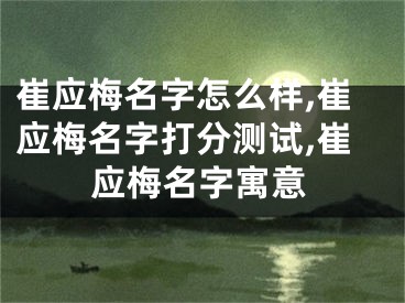 崔应梅名字怎么样,崔应梅名字打分测试,崔应梅名字寓意
