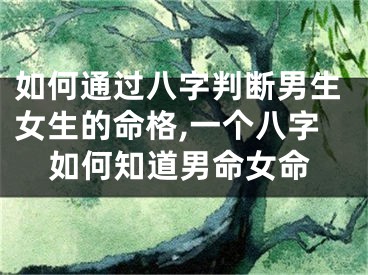 如何通过八字判断男生女生的命格,一个八字如何知道男命女命