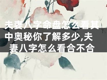 夫妻八字命盘怎么看其中奥秘你了解多少,夫妻八字怎么看合不合