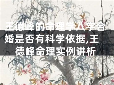 王德峰的命理学八字合婚是否有科学依据,王德峰命理实例讲析